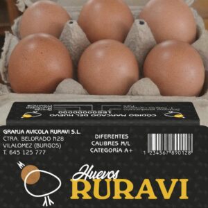 6 HUEVOS CAMPEROS